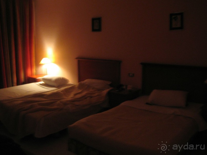 Из зимы в лето