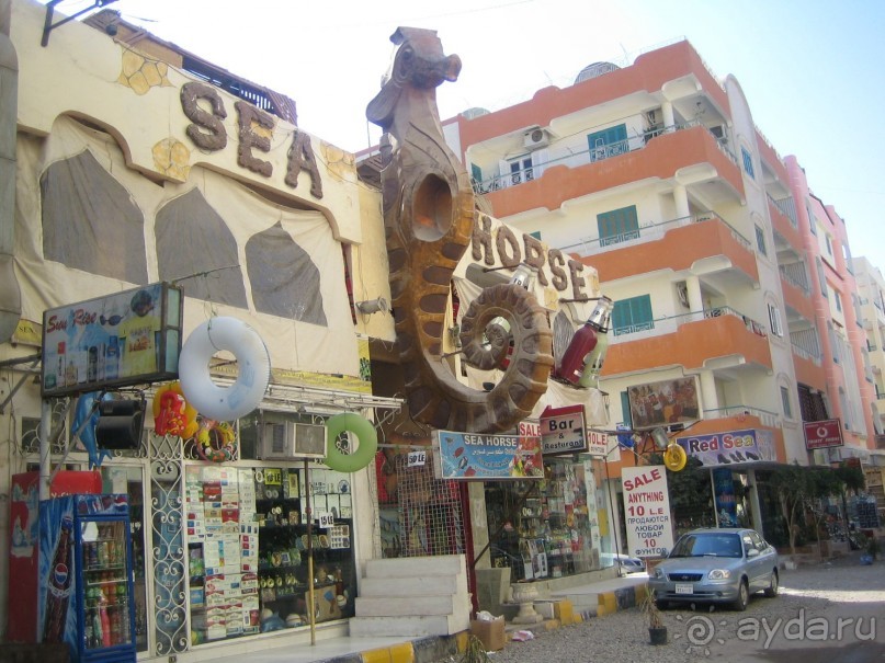 Из зимы в лето