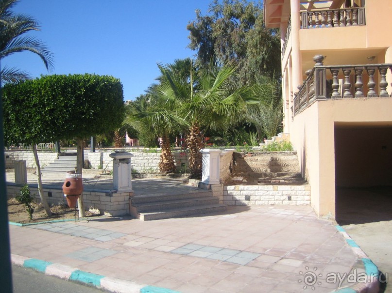 Из зимы в лето