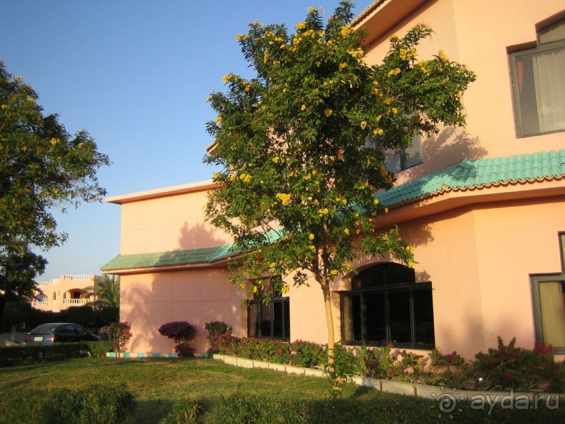 Из зимы в лето