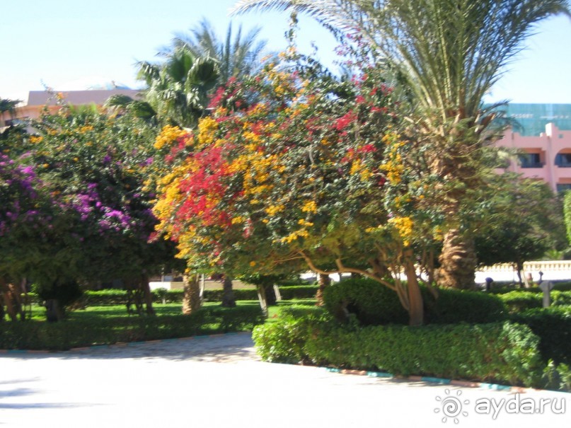 Из зимы в лето