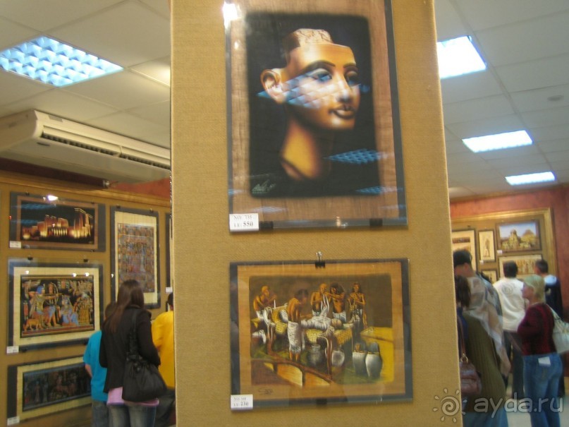 Из зимы в лето