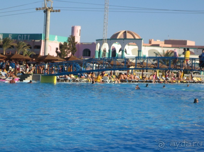 Из зимы в лето