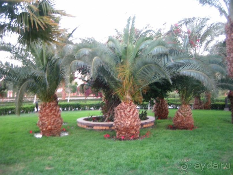 Из зимы в лето