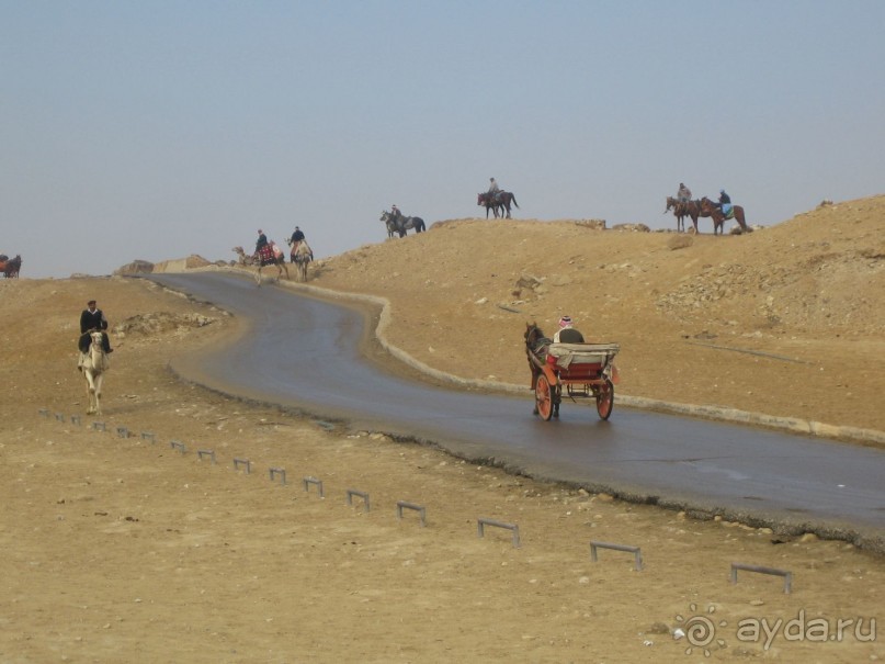 Из зимы в лето