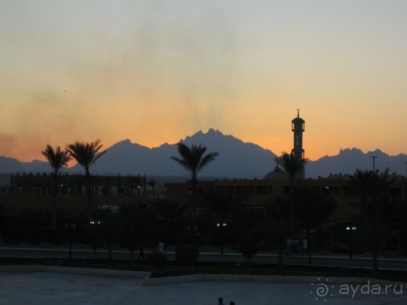 Из зимы в лето