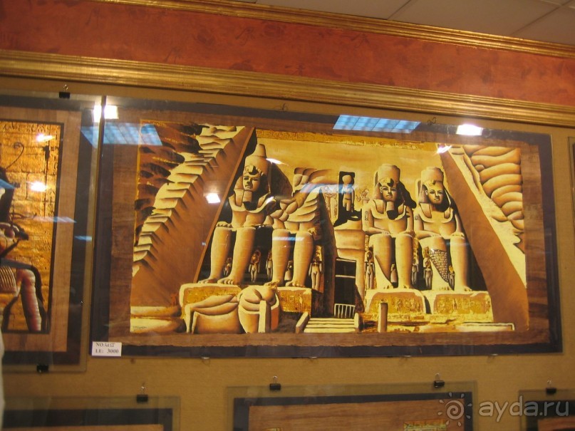 Из зимы в лето