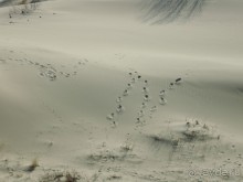 Ах этот белоснежный песок и голубое море!