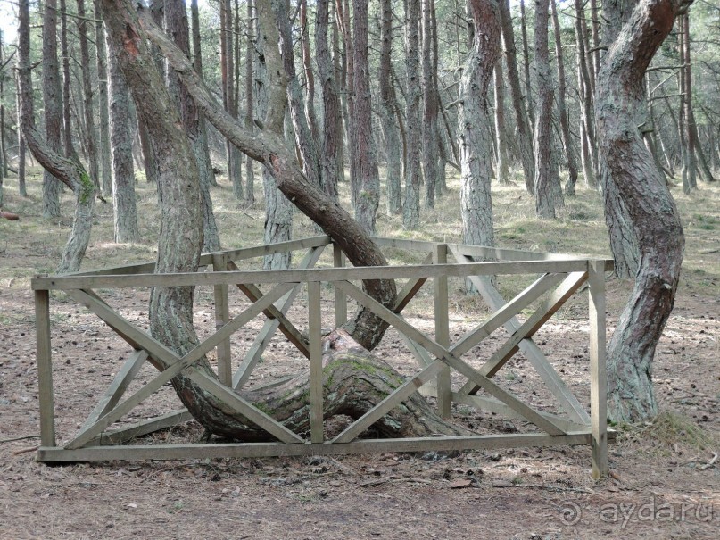 Ах этот белоснежный песок и голубое море!