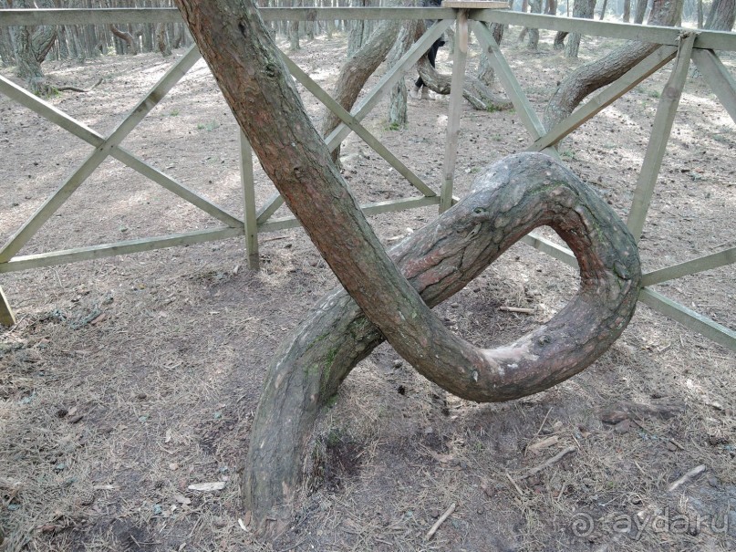 Ах этот белоснежный песок и голубое море!