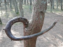 Ах этот белоснежный песок и голубое море!