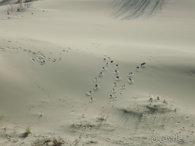 Ах этот белоснежный песок и голубое море!