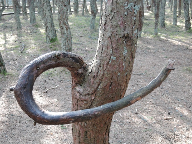 Ах этот белоснежный песок и голубое море!