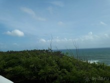 Незабываемая Шри-Ланка!