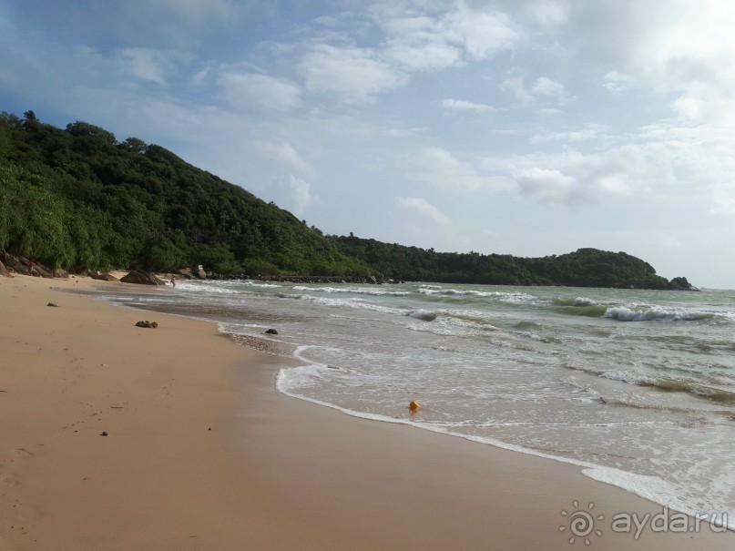 Незабываемая Шри-Ланка!