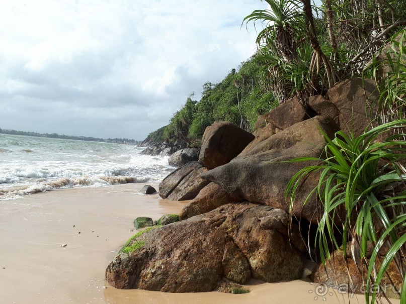 Незабываемая Шри-Ланка!