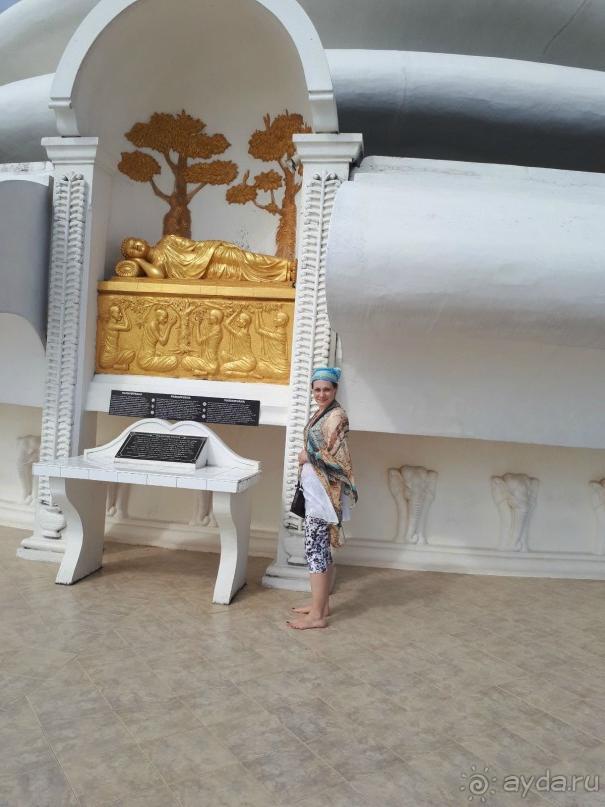 Незабываемая Шри-Ланка!