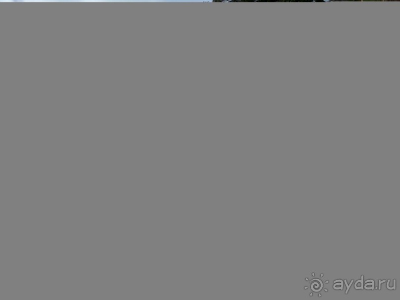 Незабываемая Шри-Ланка!