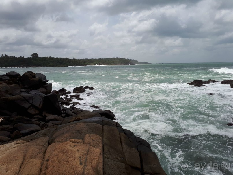Незабываемая Шри-Ланка!