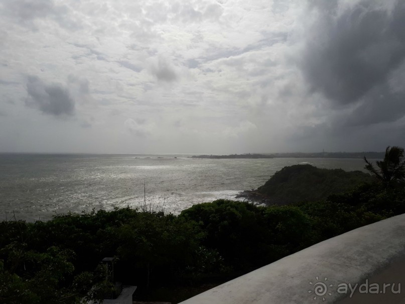 фото Мириссы