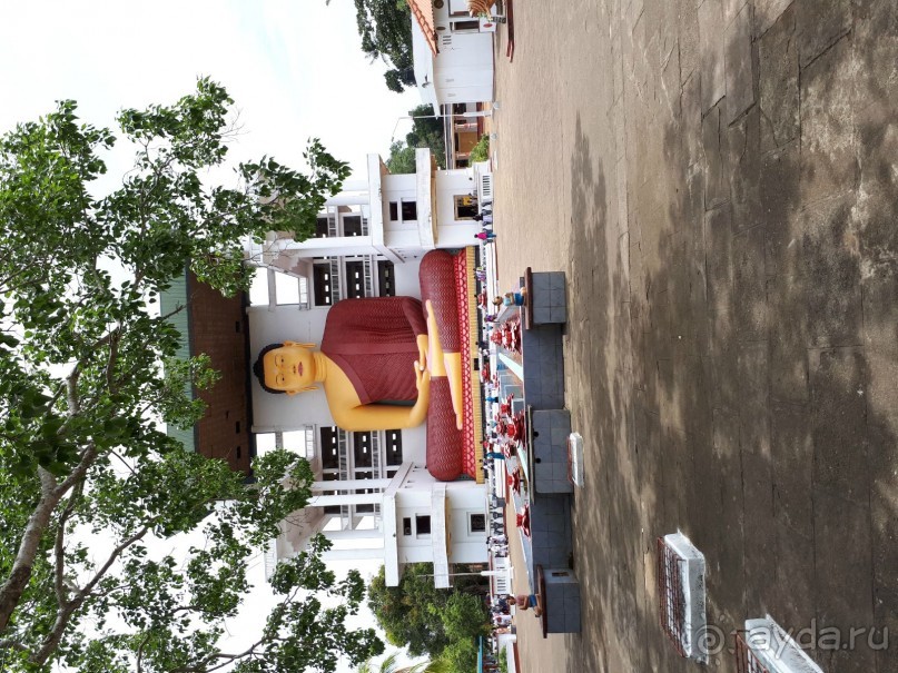 Незабываемая Шри-Ланка!