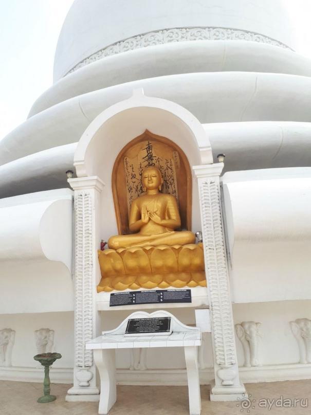 фото Мириссы