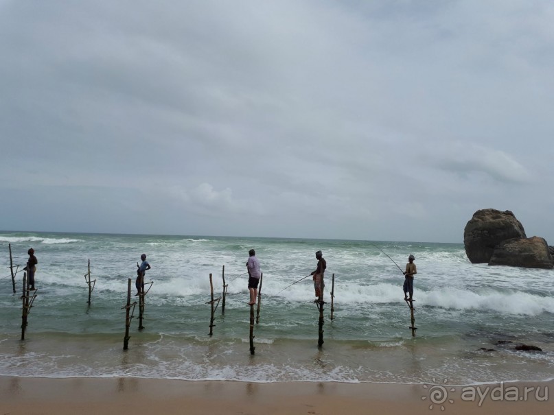 Незабываемая Шри-Ланка!
