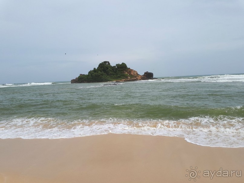 Незабываемая Шри-Ланка!