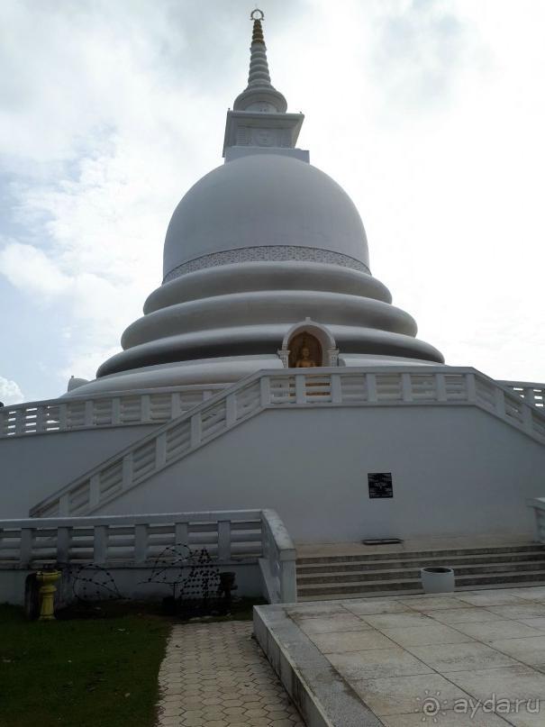 фото Мириссы