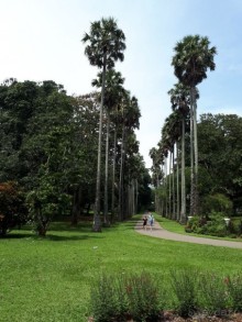 Самый замечательный и удивительный отдых с гидом Чаминда!