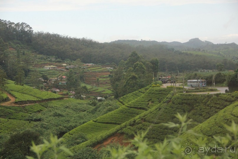 Самый замечательный и удивительный отдых с гидом Чаминда!