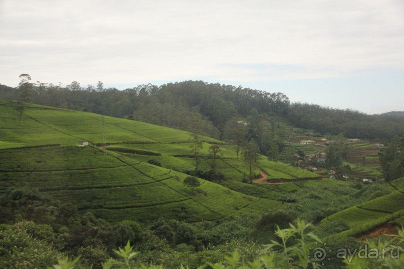 Самый замечательный и удивительный отдых с гидом Чаминда!