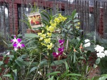 Самый замечательный и удивительный отдых с гидом Чаминда!