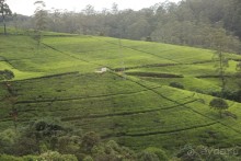 Самый замечательный и удивительный отдых с гидом Чаминда!