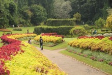 Самый замечательный и удивительный отдых с гидом Чаминда!