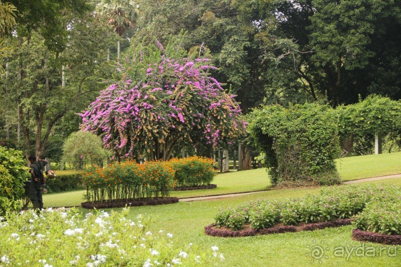 Самый замечательный и удивительный отдых с гидом Чаминда!