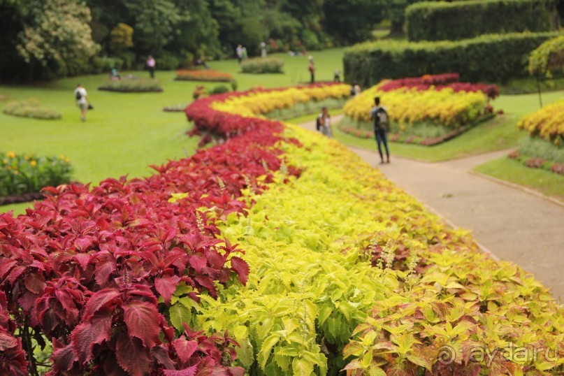 Самый замечательный и удивительный отдых с гидом Чаминда!