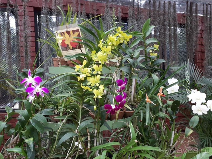 Самый замечательный и удивительный отдых с гидом Чаминда!