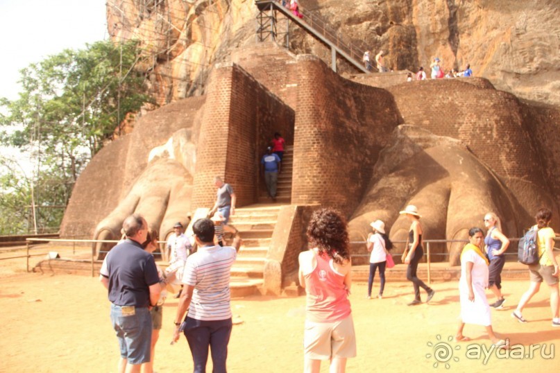 Самый замечательный и удивительный отдых с гидом Чаминда!