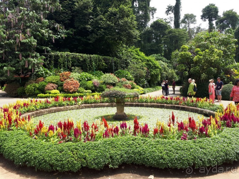 фото Сигирии