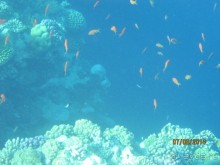 Отличный клубный отель