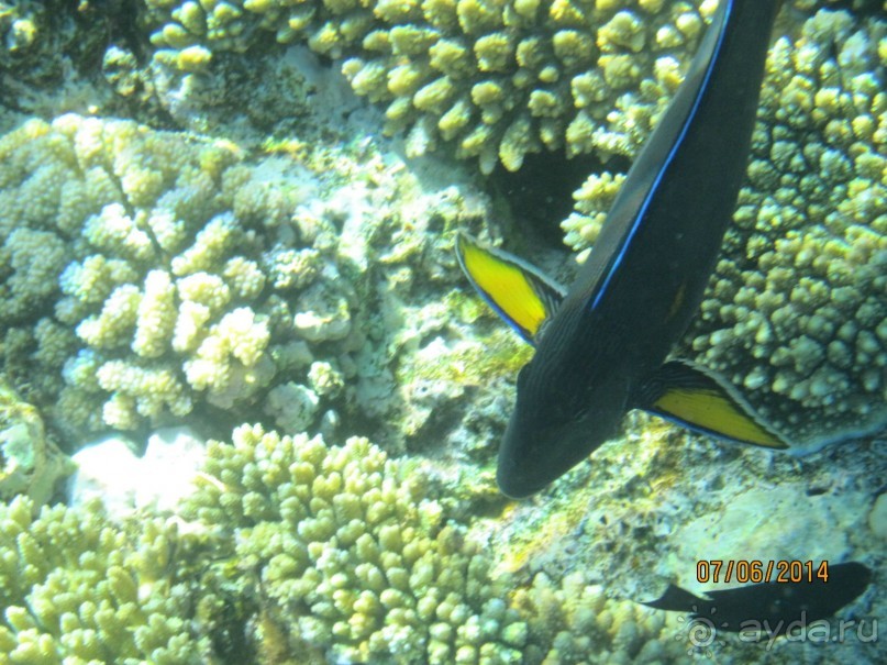 Отличный клубный отель