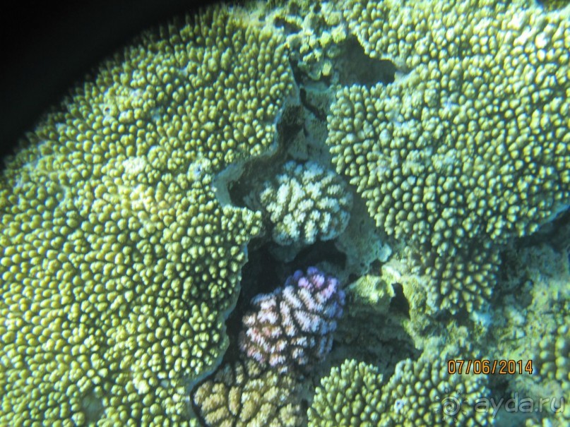 Отличный клубный отель