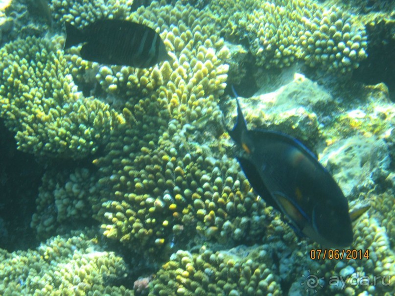 Отличный клубный отель