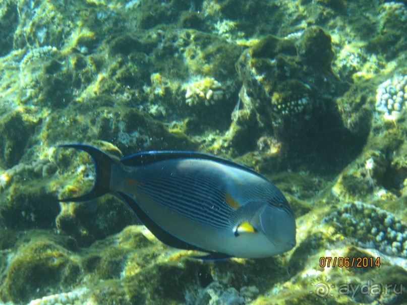 Отличный клубный отель