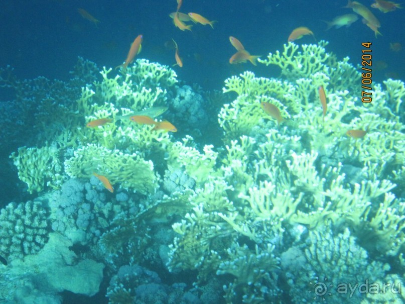 Отличный клубный отель