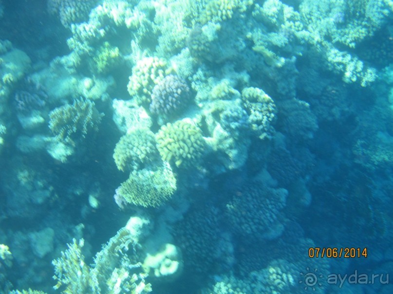 Отличный клубный отель