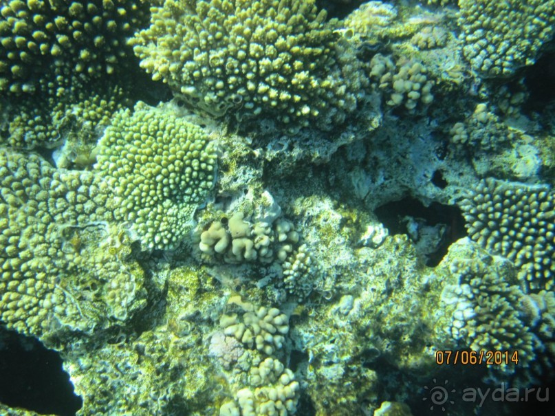 Отличный клубный отель