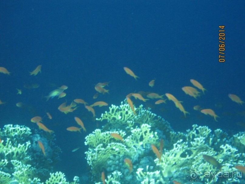 Отличный клубный отель