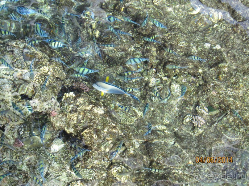 Отличный клубный отель